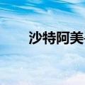 沙特阿美寻求在中国投资更多化工厂