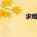 求婚词真实一点（求婚词）
