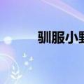 驯服小野猫在线玩（驯服小野猫）