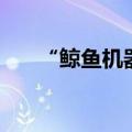 “鲸鱼机器人”近日完成超1亿元融资