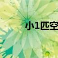 小1匹空调最低价格（小1匹空调）
