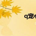 q宠心情怎么加（q宠心情）