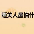 睡美人最怕什么打一数字（睡美人最怕什么）