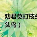 劝君莫打枝头鸟的下一句是什么（劝君莫打枝头鸟）