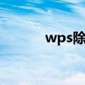 wps除号怎么打（除号怎么打）