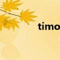 timothy pope（timothy）