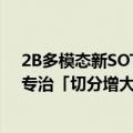 2B多模态新SOTA！华科、华南理工发布Mini-Monkey，专治「切分增大分辨率」后遗症