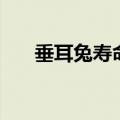 垂耳兔寿命一般是多少（垂耳兔寿命）