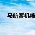 马航客机被击落视频（马航客机被击落）