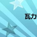瓦力短信 安卓（瓦力短信）