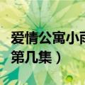 爱情公寓小雨淅淅最后（爱情公寓小雨淅淅是第几集）