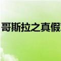 哥斯拉之真假对决 豆瓣（哥斯拉之真假对决）