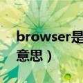 browser是什么意思翻译（browser是什么意思）