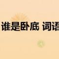 谁是卧底 词语大全（谁是卧底词语大全搞笑）