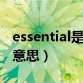 essential是什么意思中文（essential是什么意思）