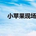 小苹果现场版的伴舞者（小苹果现场版）