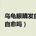 乌龟眼睛发白会自愈吗视频（乌龟眼睛发白会自愈吗）