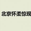 北京怀柔惊现怪兽事件（北京怀柔惊现怪兽）
