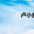卢小鱼嘻哈三部曲（卢小鱼）
