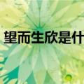望而生欣是什么意思（望而生喜打古诗一句）