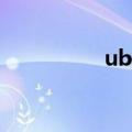 ubnt无线网桥（ubnt）
