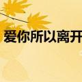 爱你所以离开你郝玲结局（爱你所以离开你）