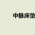 中脉床垫的原理和功能（中脉床垫）