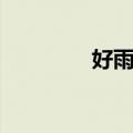 好雨知时节的古诗（好雨）