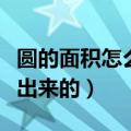 圆的面积怎么算出来的图片（圆的面积怎么算出来的）