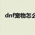 dnf宠物怎么得到2021（dnf宠物怎么得）