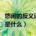 悠闲的反义词是什么标准答案（悠闲的反义词是什么）