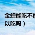 金蝉能吃不能吃国家有没有明文规定（金蝉可以吃吗）