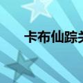 卡布仙踪关服（卡布仙踪好号和密码）