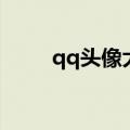qq头像大小怎么调（qq头像大小）