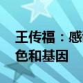 王传福：感谢奔驰 让腾势诞生就带着豪华底色和基因