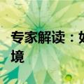 专家解读：如何优化新业态新领域市场准入环境
