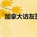 加拿大访友签证好办吗（加拿大访友签证）