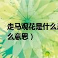 走马观花是什么意思中的走是什么意思（走马观花的走是什么意思）