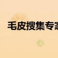 毛皮搜集专家任务怎么做（毛皮搜集专家）