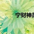 宁财神是谁的老公（宁财神是谁）