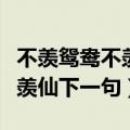 不羡鸳鸯不羡仙下一句接什么好（不羡鸳鸯不羡仙下一句）