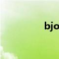 bjork冰岛歌手（bjork）
