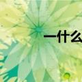 一什么面包填空（一什么面包）