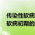 传染性软疣初期的图片 早期怎么治（传染性软疣初期的图片）