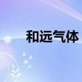 和远气体：签订22亿元投资合作协议