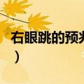 右眼跳的预兆是什么（右眼跳是什么预兆算命）