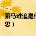 驷马难追是什么意思（驷马难追的驷是什么意思）