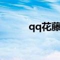 qq花藤下架后怎么养（qq花藤）