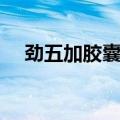 劲五加胶囊吃多久才有效（劲五加胶囊）