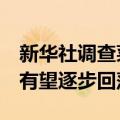 新华社调查菜价上涨：资本炒作可能性不大，有望逐步回落